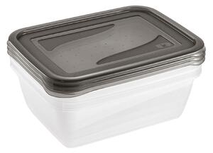 Dóza na potraviny Fresh & amp; Freeze, 3 ks, 1,25 l