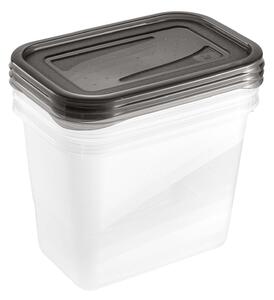 Dóza na potraviny Fresh & amp; Freeze, 3 ks, 1 l