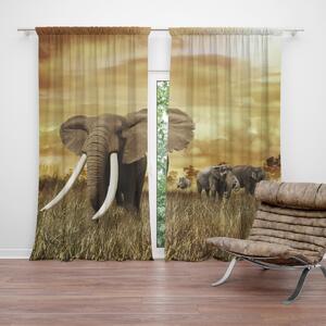 Sablio Záves Slon Africký: 2 ks 140x250 cm