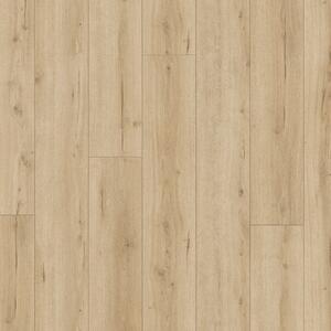 Parador Laminate Flooring Trendtime 6 4V Oak Loft Pure vivid texture V-groove 1744709 2200x243x9 mm AC5/33