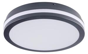 Brilagi - LED Vonkajšie svietidlo BENE LED/24W/230V pr. 26 cm IP54