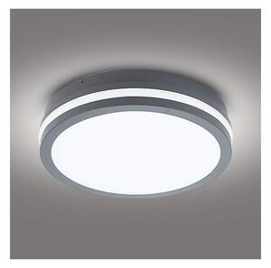 Brilagi - LED Vonkajšie svietidlo BENE LED/24W/230V pr. 26 cm IP54
