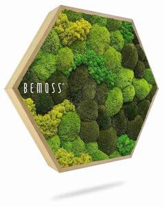Machový Hexagon BOLMOSS DUO Light Anento - Priemer 30 cm (v najširšom mieste šesťuholníka)