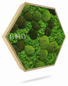 Machový Hexagon BEMOSS® ORTHO MONETO - Priemer 30 cm (v najširšom mieste šesťuholníka)