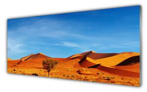 Sklenený obklad Do kuchyne Púšť krajina 125x50 cm