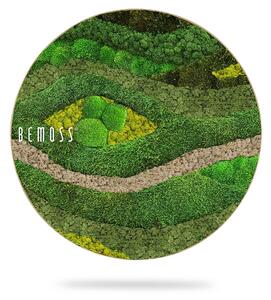 Machový obraz kruh BEMOSS® ORTHO TOCÓN Lime