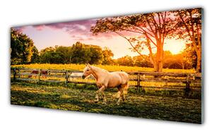 Nástenný panel  Kôň lúka zvieratá 125x50 cm
