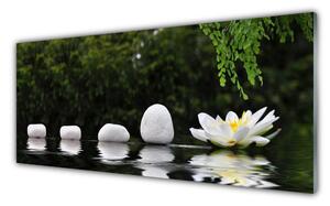 Nástenný panel  Kamene kvet umenie 125x50 cm