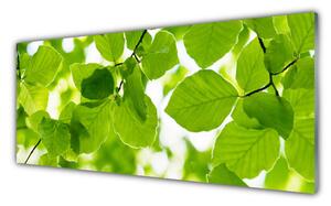 Nástenný panel  Listy príroda rastlina 125x50 cm