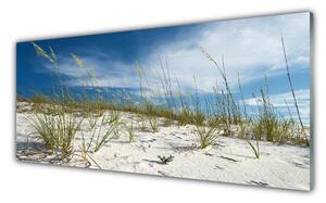 Nástenný panel  Pláž príroda 125x50 cm