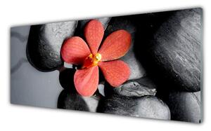 Nástenný panel  Kvet kamene umenie 125x50 cm