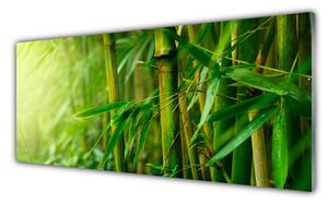 Nástenný panel  Bambus stonky rastlina 125x50 cm