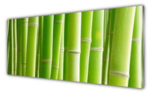 Nástenný panel  Bambus stonka kvet rastlina 125x50 cm