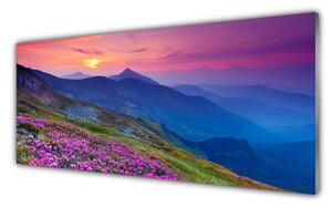 Nástenný panel  Hory lúka kvety príroda 125x50 cm