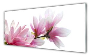 Nástenný panel  Magnolie kvet 125x50 cm