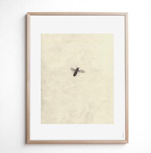 Autorský plagát Fly by Brian McHenry 40 x 50 cm