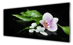 Nástenný panel  Kvet kamene lístie 125x50 cm