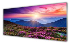 Nástenný panel  Hora lúka kvety príroda 125x50 cm