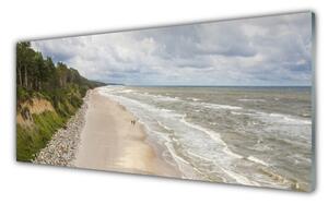 Nástenný panel  Pláž more strom príroda 125x50 cm