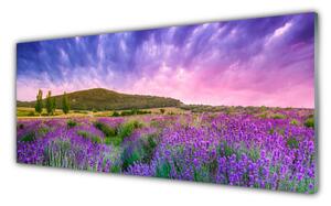 Nástenný panel  Lúka kvety hory príroda 125x50 cm