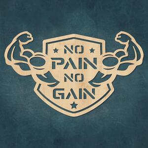 DUBLEZ | Motivačný obraz - No Pain No Gain