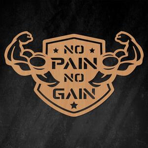 DUBLEZ | Motivačný obraz - No Pain No Gain