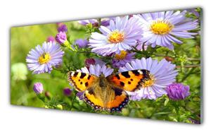 Nástenný panel  Kvety motýľ príroda 125x50 cm