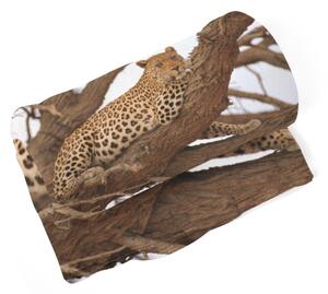 Sablio Deka Leopard 2 - 150x120 cm