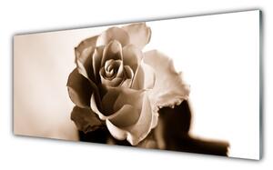 Nástenný panel  Ruže kvet 125x50 cm