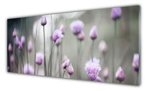Sklenený obklad Do kuchyne Poľné kvety lúka príroda 125x50 cm