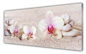 Sklenený obklad Do kuchyne Orchidea kamene zen písek 125x50 cm