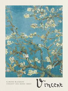 Umelecká tlač Mandľové kvety, (30 x 40 cm)
