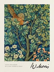 Umelecká tlač Cock Pheasant - William Morris, (30 x 40 cm)