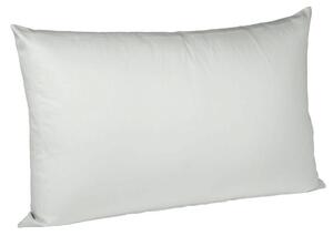 OBLIEČKA NA VANKÚŠ, 40/40 cm, bavlna Fleuresse - Poťahy & obliečky
