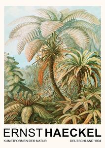 Umelecká tlač Filicinae–Laubfarne / Rainforest Trees (Vintage Academia) - Ernst Haeckel, (30 x 40 cm)