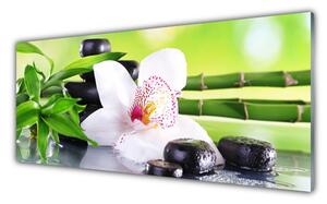 Sklenený obklad Do kuchyne Orchidea kamene zen bambus 125x50 cm