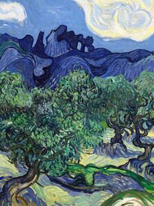 Obrazová reprodukcia The Olive Trees (Portrait Edition) - Vincent van Gogh, (30 x 40 cm)