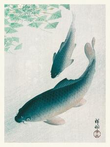 Umelecká tlač Two Carp Fish (Japandi Vintage) - Ohara Koson, (30 x 40 cm)