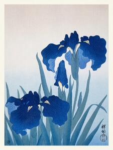 Obrazová reprodukcia Blue Iris Flowers (Japandi Vintage) - Ohara Koson, (30 x 40 cm)