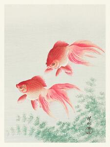 Obrazová reprodukcia Two Veil Goldfish (Japandi Vintage) - Ohara Koson, (30 x 40 cm)