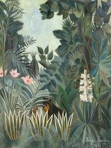 Umelecká tlač The Equatorial Jungle - Henri Rousseau, (30 x 40 cm)