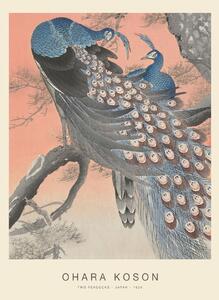 Umelecká tlač Two Peacocks (Special Edition) - Ohara Koson copy, (30 x 40 cm)