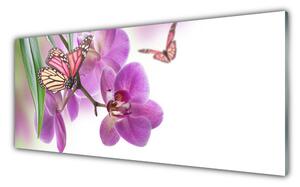 Sklenený obklad Do kuchyne Motýle kvety príroda 125x50 cm