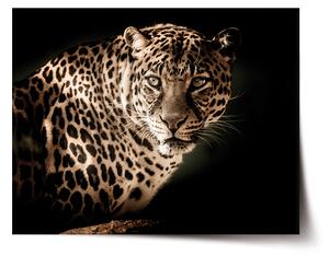 Sablio Plagát Leopard - 60x40 cm
