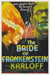Umelecká tlač The Bride of Frankenstein (Vintage Cinema / Retro Movie Theatre Poster / Horror & Sci-Fi), (26.7 x 40 cm)