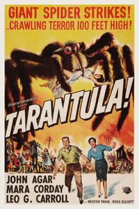 Obrazová reprodukcia Tarantula (Vintage Cinema / Retro Movie Theatre Poster / Horror & Sci-Fi), (26.7 x 40 cm)