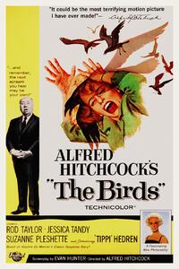Obrazová reprodukcia The Birds / Alfred Hitchcock / Tippi Hedren (Retro Movie), (26.7 x 40 cm)