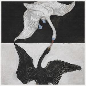 Umelecká tlač The Swan No.1 (Black & White) - Hilma af Klint, (40 x 40 cm)