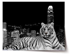 Sablio Plagát Mestský tiger - 60x40 cm