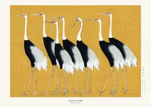 Studio Collection - Obrazová reprodukcia Japanese Red Crown Crane, (40 x 30 cm)